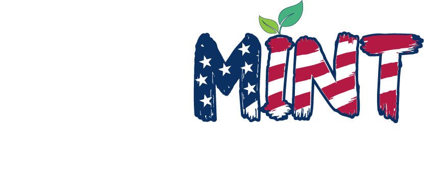 PayMint Solutions Inc.