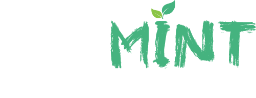 PayMint Solutions Inc.