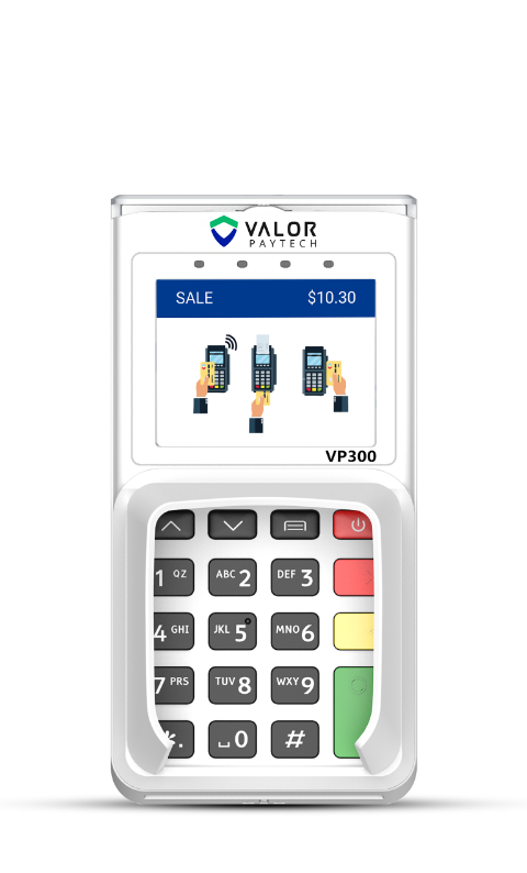 Valor VP300